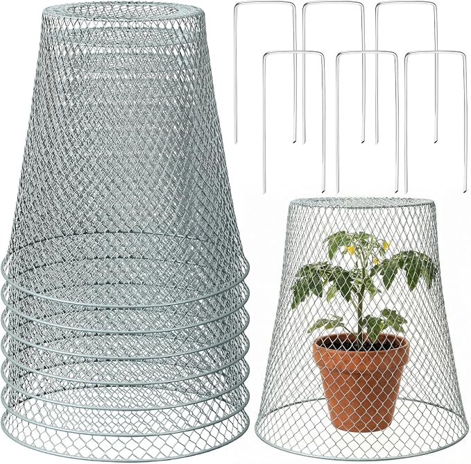 Therwen 6 Pcs Large Plant Wire Cloche 11 x 12 Inch Metal Garden Cloche with Garden Stakes Plant Protector from Animals for Keeping Bunnies Chicken Squirrels Birds (Silver)