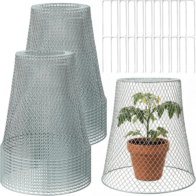 Therwen 20 Pcs Large Plant Wire Cloche 11 x 12 Inch Metal Garden Cloche with Garden Stakes Plant Protector from Animals for Keeping Bunnies Chicken Squirrels Birds (Silver)