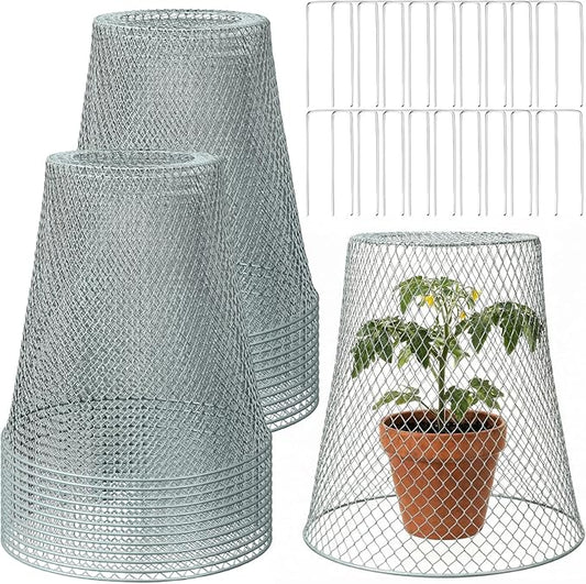 Therwen 20 Pcs Large Plant Wire Cloche 11 x 12 Inch Metal Garden Cloche with Garden Stakes Plant Protector from Animals for Keeping Bunnies Chicken Squirrels Birds (Silver)