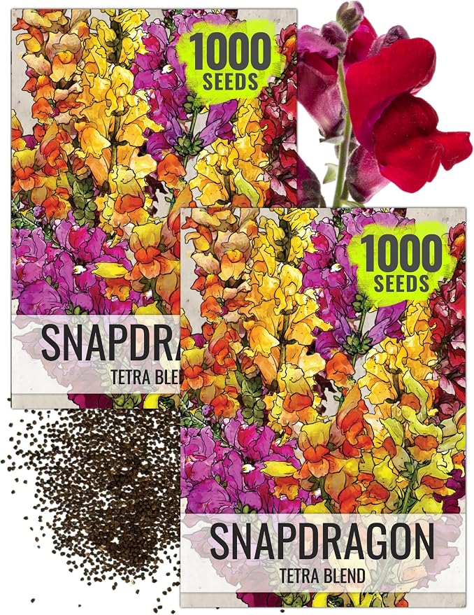 Seed Needs Tetra Snapdragon Seeds to Plant Mixed Cut Flowers 2 Packs