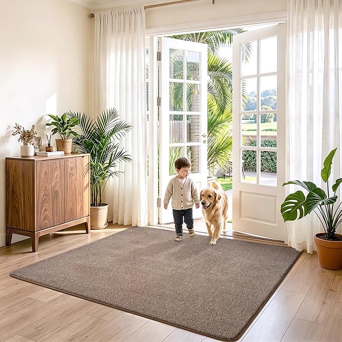 Keeko 5x5 Square Area Rugs for Living Room Bedroom,Soft Washable Carpet | Modern Indoor Memory Foam Entryway Rug Low Pile Minimalist Non Slip Rug for Kids Nursery Dorm Room Home Decor Brown and White