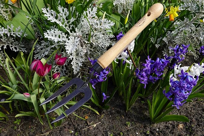 Dewit Garden Fork – Mid-Size Hand Fork with Hardened Boron Steel Tines & Ash Hardwood Handle, Soil Cultivator Tool