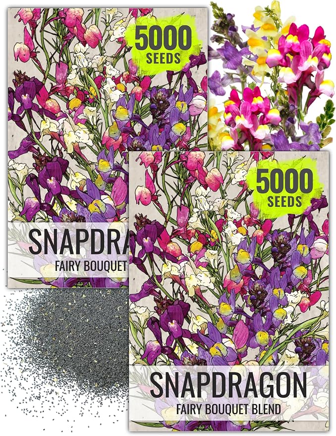Seed Needs Fairy Bouquet Baby Snapdragon Seeds to Plant Flowers 2 Packs