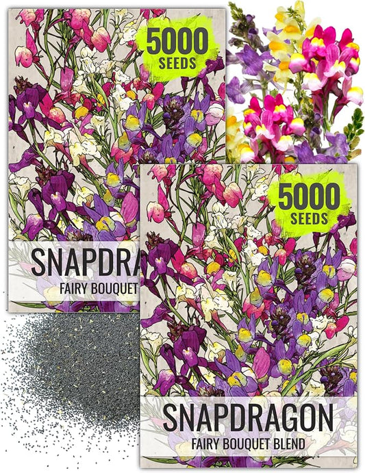 Seed Needs Fairy Bouquet Baby Snapdragon Seeds to Plant Flowers 2 Packs