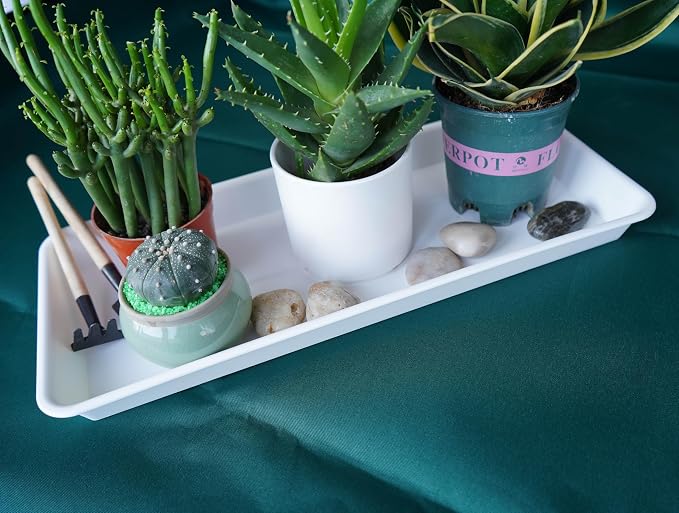 VUWEZ 6 Pack Plastic Plant Tray Saucer, Rectangular, Indoors Outdoor, Water Drip Tray for Flower Pot Planter, Windowsill (6 X 11 Inch, White)