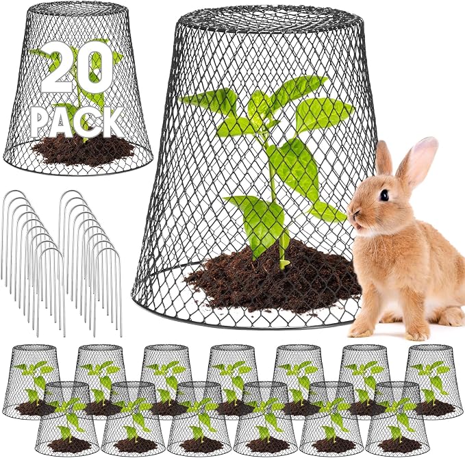 Geosar 20 Pcs 9 Inch Chicken Wire Cloche Plant Protector Cover Metal Garden Cloche Netting Protection Cages Vegetables Flowers with Garden Stakes Avoiding Chicken Rabbit Squirrels Birds (Black)