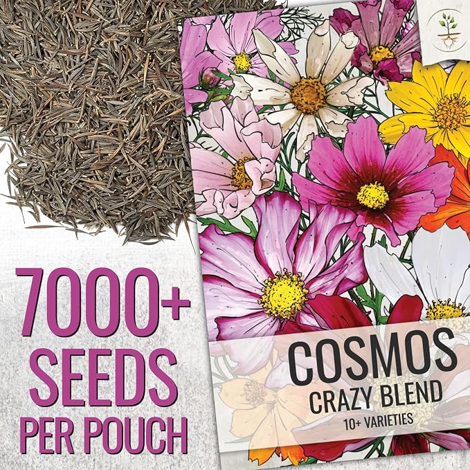 Seed Needs Cosmos Seeds Original Crazy Mix 1.5 Ounce Heirloom Bulk Pack