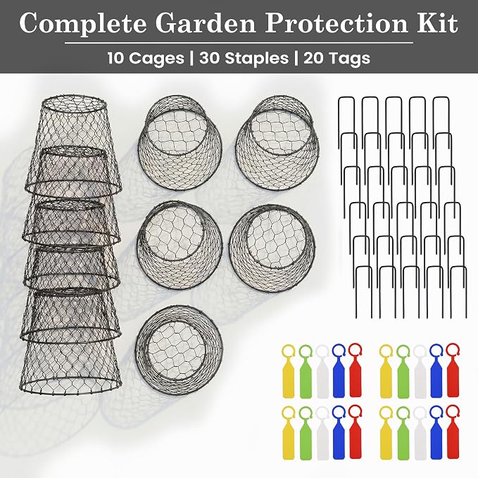 10 Pcs Seedling Plant Protectors from Animals, Chicken Wire Plant Cage Garden Cloche to Protect Plants Vegetables from Rabbits Squirrels Chicken – 9'' x 9”