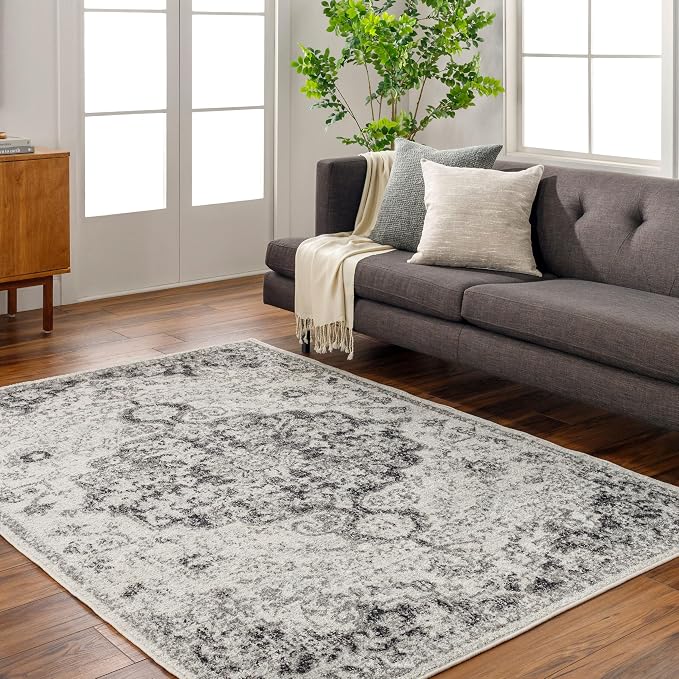 Livabliss Odelia Vintage Bohemian Area Rug,2' x 3',Black