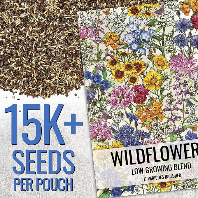 Seed Needs Wildflower Seeds Low Growing 1 Ounce Heirloom Bulk Pack