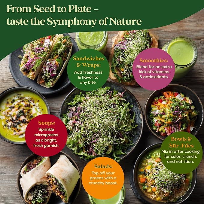 Seedphony Broccoli Sprouting & Microgreens Seeds - 130,000 Non-GMO Heirloom Seed, 1lb Resealable Bag - High-Germination Broccoli Seeds for Sprouting in Jars, Soil, Hydroponics & Microgreen Trays