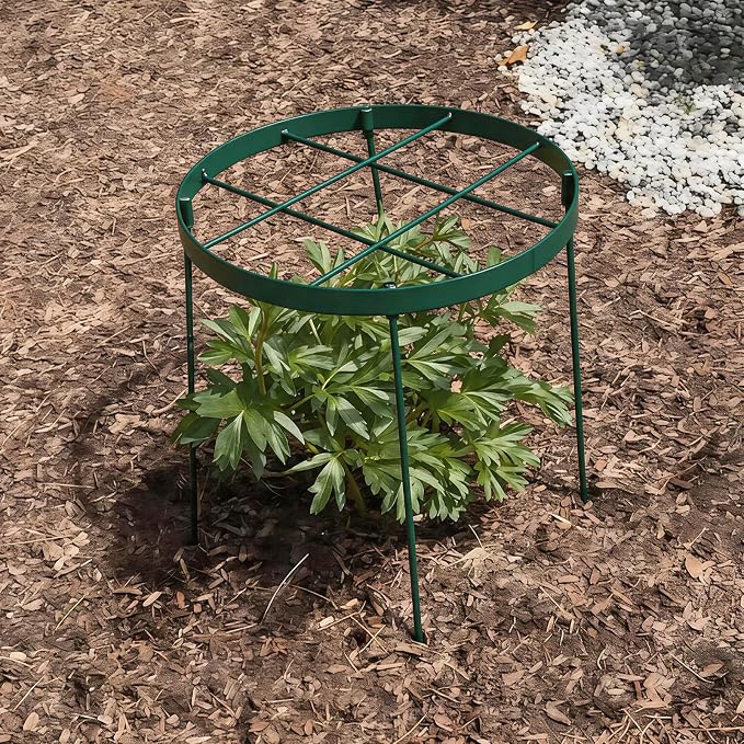 Peony Cage Outdoor Support - Durable Metal Garden Brace for Tall Plants, 18.9" Top, 23.6" Long Round Flower Rings, Easy Assembly, Perfect for Dahlias & Climbing Plants - Ideal Gardening Gift