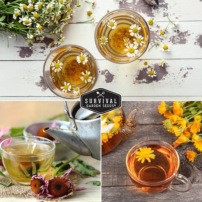 Medicinal Tea Herb Seeds for Planting | 9 Varieties - Survival Garden Seeds | Grow Herbal Teas, Natural Remedies – Home Apothecary Garden Kit – Heirloom, Non-GMO Herbs