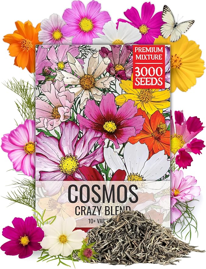 Seed Needs Flower Seeds Cosmos Original Crazy Blend 10+ Varieties Bulk Pack