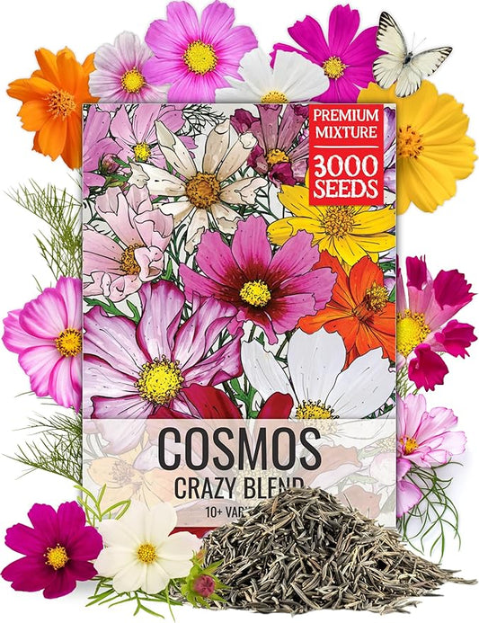 Seed Needs Flower Seeds Cosmos Original Crazy Blend 10+ Varieties Bulk Pack