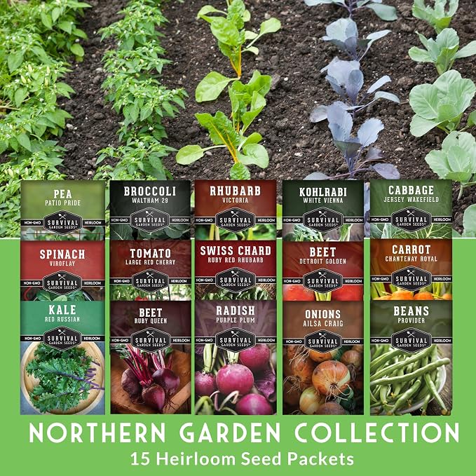 Northern Vegetable Seeds Collection – 15 Cold Hardy Heirloom Varieties for Planting in Cool Climates with Short Growing Seasons – Frost Tolerant Spring & Fall Garden – Survival Garden Seeds