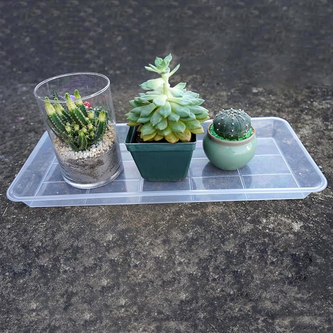 VUWEZ 2 Pack Plastic Plant Saucer, Rectangular, Indoors Outdoor, Water Drip Tray for Flower Pot, Windowsill (5.5 x 10 Inch, Clear)