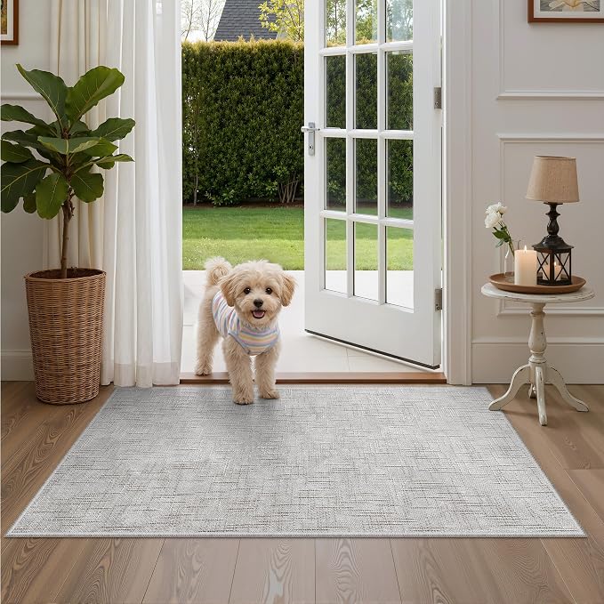 Valenrug 3x5 Rug, High-Low Pile Washable Entryway Rug for Bedroom Grey | Soft Fluffy Textured Design, Non Slip & Lighweight, Folable, Stain Resistant Floor Carpet Rug for Living Room,Kitchen, Office