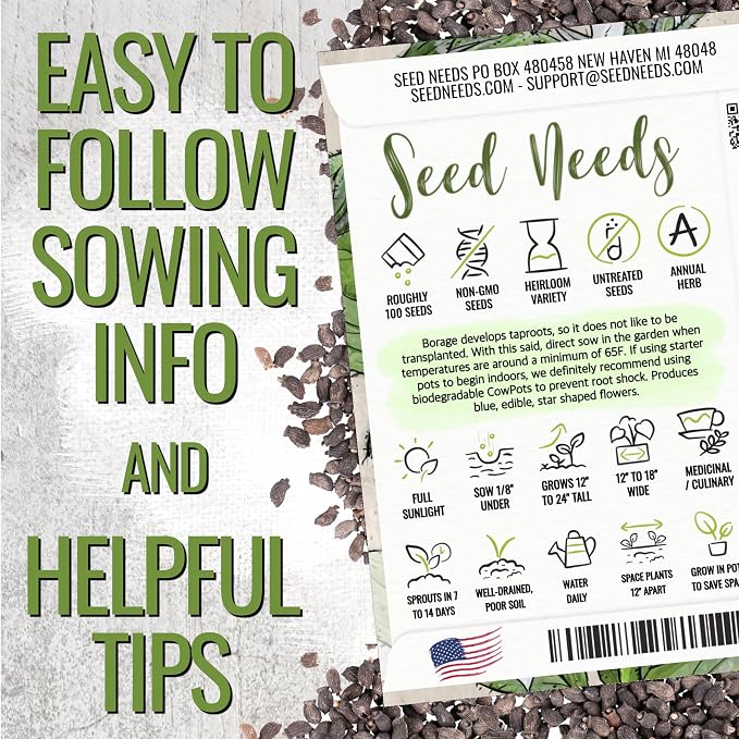 Seed Needs White Borage Seeds to Plant Heirloom Non-GMO Herbs 2 Packs