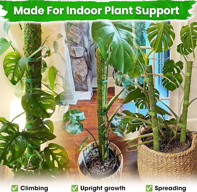 DUSPRO 42’’ Mesh Moss Pole for Climbing Plants, Natural Moss Pole Monstera Plant Support, Real Moss Poles for Plants Indoor, Moss Stick for House Plants, Moss Stakes for Climbing Plants