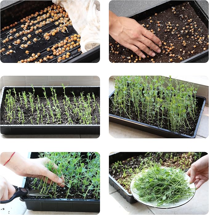 Mr. Pen- Seed Starter Trays, 5 Pack, 17"x10"x2.4" | Durable Plastic Growing Trays, Stackable and Reusable Seedling Starter Kits for Indoor, Outdoor, Greenhouse Gardening