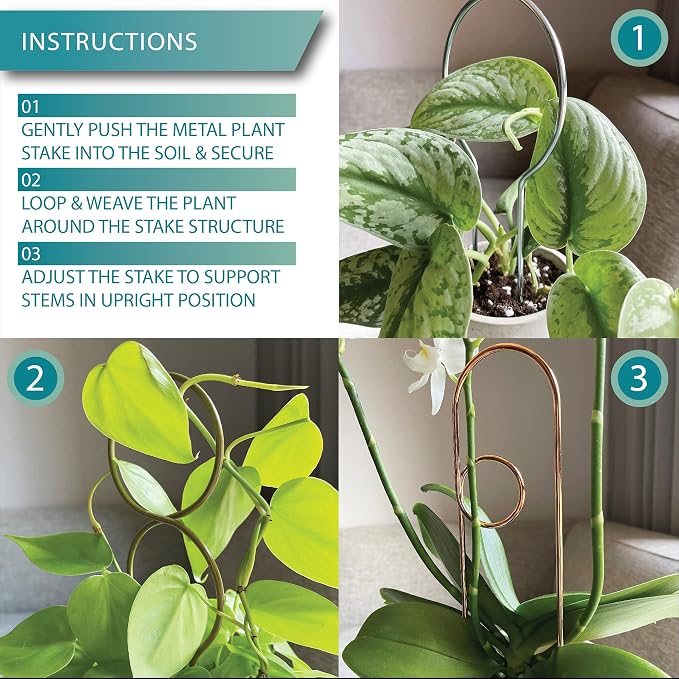 Small Metal Trellis for Indoor Plants Metal Plant Stake for Climbing House Plants Plant Support for Potted Plants Orchids, Monstera, Pothos, Ivy, Hoya, Philodendron Set of 4 (Simply Silver)