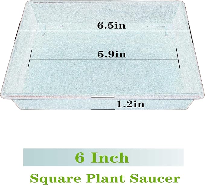 NIMYAU Square Plant Saucer 6 Inch 5 Pack6 8 12 14 16 18 20 Plant Trays for Pots, Flower Pot No Holes Plant Drip Trays,Heavy Duty Plastic Plant Saucers for Indoors Outdoors