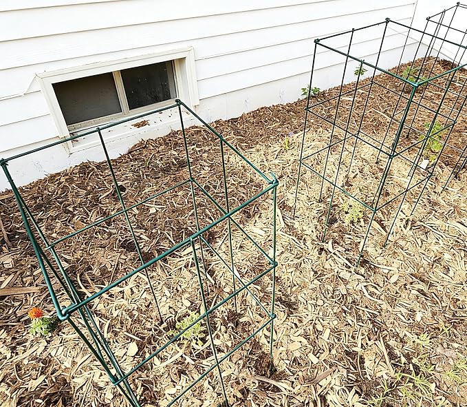2 Pack 12x39 Inch High Green Folding Square Tomato Cages | Tall Plant Support, Tomato Trellis, Metal, Peony Cage Peony Support