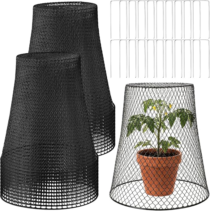 Therwen 20 Pcs Large Plant Wire Cloche 11 x 12 Inch Metal Garden Cloche with Garden Stakes Plant Protector from Animals for Keeping Bunnies Chicken Squirrels Birds (Black)