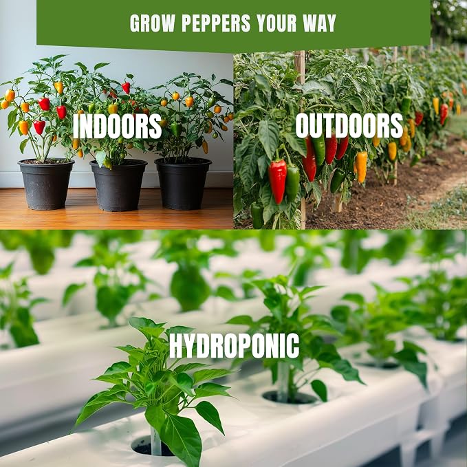 Sweet & Hot Pepper Seeds Variety Pack – 15 Varieties Mixed Heat Garden Collection, Jalapeno, Habanero, Cayenne, Serrano & Bell Types, 750+ Non-GMO Heirloom Seeds for Indoor & Outdoor Planting