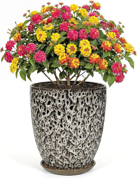 9.5 Inch Flower Pots for Indoor Plants,Ceramic Planter with Saucer Drainage Leak-Proof Mesh Gardening Gloves (Spotted White)