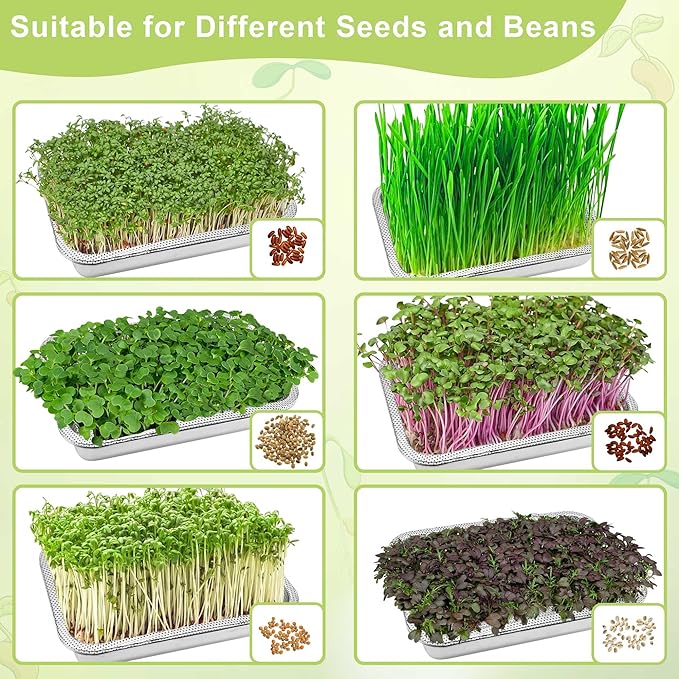Stainless Steel Sprouts Growing Kit 2-Tier 10.4 inch Trays, Microgreens Growing Kit, Seed Sprouting Tray with Encrypted Mesh Sprouts for Beans Alfalfa Broccoli Wheat Grass
