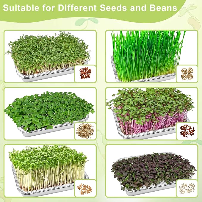 Stainless Steel Sprouts Growing Kit 2-Tier 14 inch Trays, Microgreens Growing Kit, Seed Sprouting Tray with Encrypted Mesh Sprouts for Beans Alfalfa Broccoli Wheat Grass