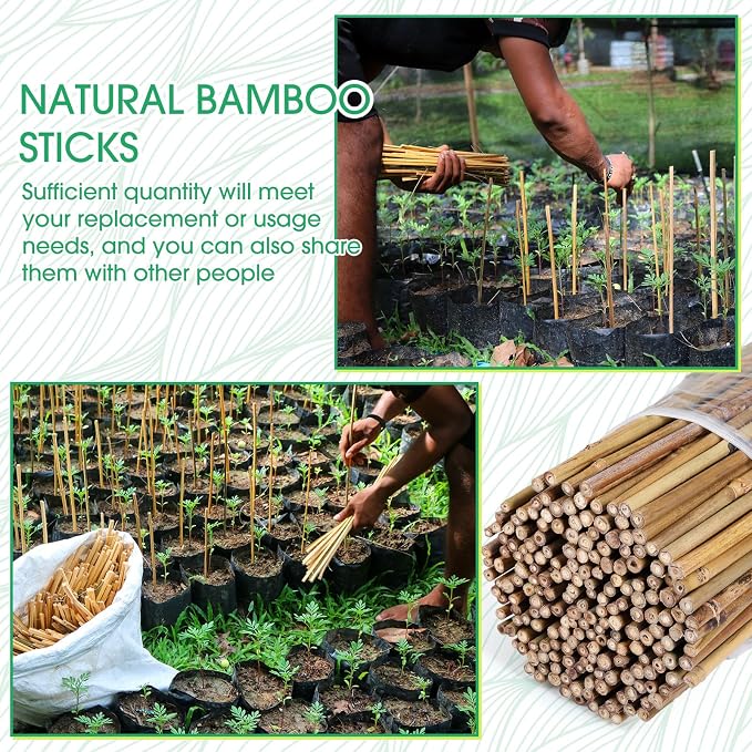 Suclain 200 Pcs Bamboo Plant Stakes Natural Garden Support Sticks for Climbing Plants Sturdy Bamboo Garden Stakes for Tomato, Beans, Flowers and Potted Plants, Vegetables, Indoor & Outdoor (1.35 ft)