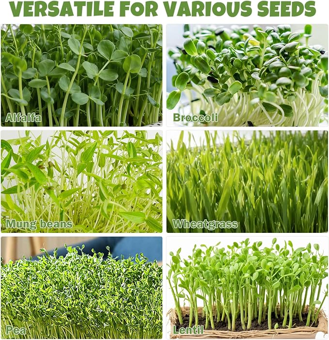 2 Pack 304 Stainless Steel Seed Sprouter Trays, 2-Tier Soil-Free Microgreens Growing Kit, Rust-Free Round Sprouting Tray with Mesh Pads for Sprouts Beans Alfalfa Wheatgrass