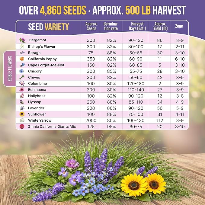 Organo Republic 15 Edible Flower Seeds Variety Pack for Indoor Outdoor Gardening - 4,800+ Non-GMO Heirloom Flower Seed: Borage, Bishop's Flower, Chicory, Chives, Hyssop, Echinacea, Lavender & More