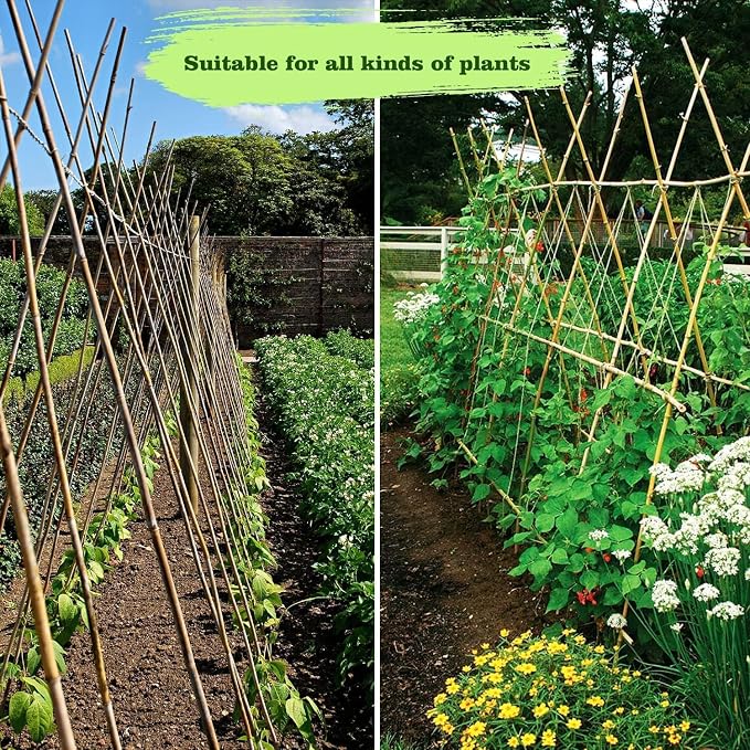 Jollybower 3/4" D 7 Feet Bamboo Stakes 50 Pack, Thicker Heavy-Duty Plant Stakes, Natural Garden Stakes for Bean, Tomato, Bean, Flowers,Trees Potted and Climbing Plant Support
