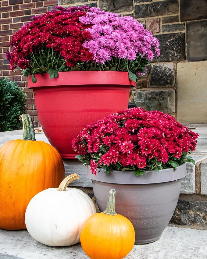 The HC Companies Rings Flower Planter - Self Watering Plant Pots for Herbs & More - Round Lightweight Outdoor & Indoor Planter (12" Warm Red, Pack of 1)