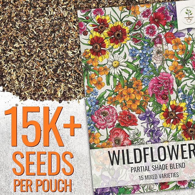 Seed Needs Wildflower Seeds Partial Shade Mix 1 Ounce Heirloom Bulk Pack