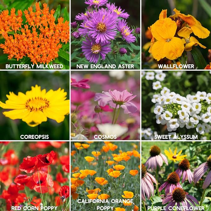 Mountain Valley Seed Co Wildflower Seed 2 Oz. 80,000+ Seeds – Save the Bees | Mix with 19 Non-GMO Varieties – Bee Friendly & Pollinator Wildflower Seed for Planting