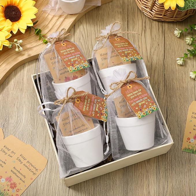 Ctosree 48 Sets Back to School Gifts to Student from Teacher Wildflower Seed Packets Keep Growing Stay Amazing Self Adhesive Seed Envelopes Small Seeds Storage Packets for Return School Party Favors
