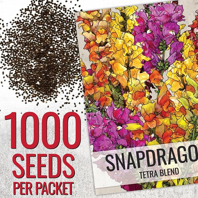 Seed Needs Tetra Snapdragon Seeds to Plant Mixed Cut Flowers 5 Packs