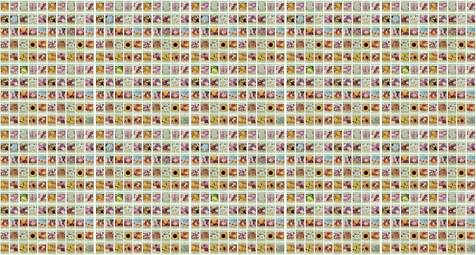 Set of 1000 Assorted Valley Green Flower Seed Packets! Flower Seeds in Bulk - 20+ Varieties Available! (1000)