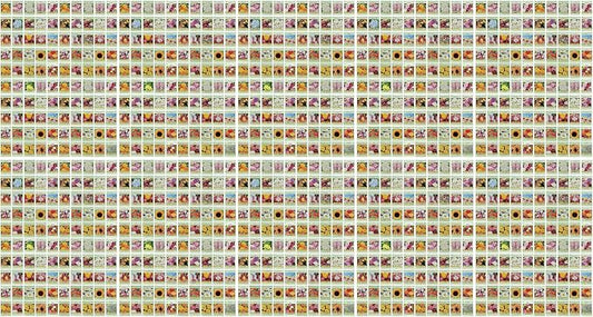 Set of 1000 Assorted Valley Green Flower Seed Packets! Flower Seeds in Bulk - 20+ Varieties Available! (1000)