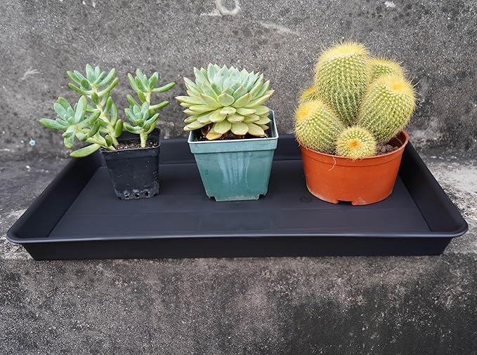 VUWEZ Plant Saucer Growing Tray, Seed Starter Tray Rectangular, Heavy Sturdy Plastic Plant Drainage Saucers, Plant Drip Trays for Pots, Seed Starter Growing Trays (11 x 9 inch, 6 Pack)