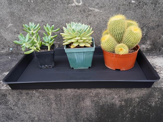 VUWEZ Plant Saucer Growing Trays, Seed Starter Tray, 14"x11", Heavy Sturdy Plastic Microgreens Saucers, Propagation Saucer Rectangular, Humidity Trays, Seedling Seed Starter Growing Tray