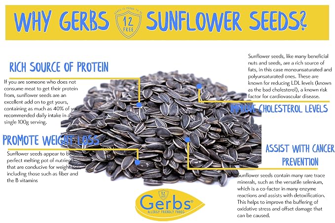Gerbs Jumbo Lightly Sea Salted Whole Sunflower Seeds 14 oz. | Small Batch, No Artificial Additives, Resealable Bag | Crack-and-Eat Crunchy Snack | Top 14 Allergen-Free