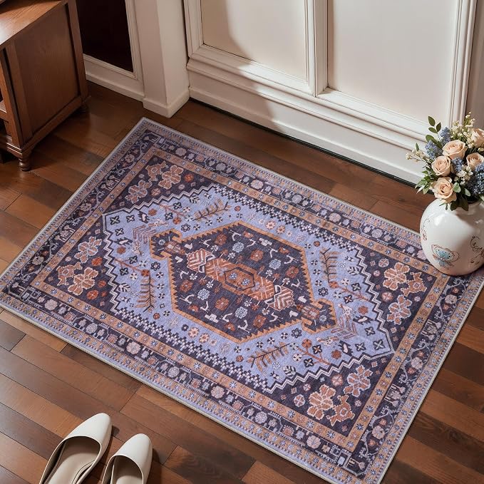 Ciicool 2x3ft Small Area Rug,Washable Boho Thin Mat for Entryway Kitchen | Oriental Non-Slip Low-Pile Indoor Carpet Soft Entry Rugs for Entrance Bedroom Kitchen Bathroom Foyer Decor