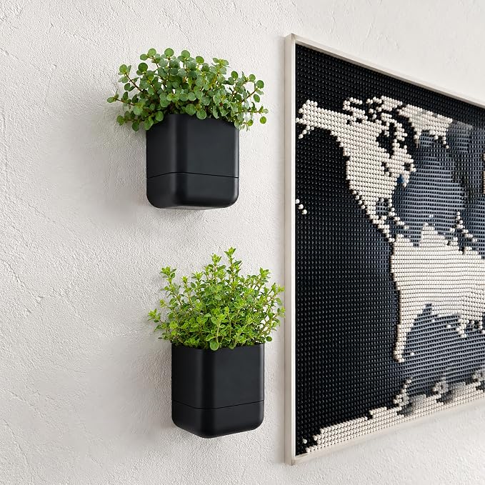 Phoenix Vine 4.5 Inch Wall Mounted Self-Watering Planter Pot for Indoor Houseplants and Herbs | Hanging Planter for Window Sills, Bathroom Walls, Home & Office Décor, Black, Set of 4, 01-B-E-4
