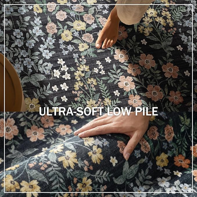 Machine Washable Small Rugs for Entryway: Door Mat Indoor Entrance 2x3 Rug Boho Throw Rug Non-Slip Low Pile Kitchen Rug for Front Door Indoor Entrance Entry Kitchen Bedside Kids Room